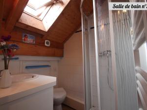 a bathroom with a shower and a sink and a toilet at Chalet 4 pièces 8 pers. avec balcon, terrasse et parking - FR-1-263-517 in Valloire +6 photos