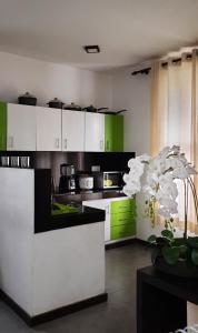 una cocina con armarios verdes y blancos y una planta en Cinnamon Apartment Panadura, en Panadura