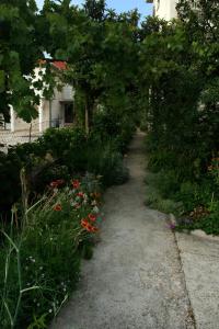 Fotografie z fotogalerie ubytování Apartments by the sea Zablace, Sibenik - 4222 v destinaci Zablaće