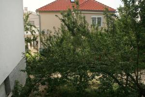 Fotografie z fotogalerie ubytování Apartments by the sea Zablace, Sibenik - 4222 v destinaci Zablaće
