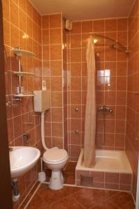 a bathroom with a toilet and a shower and a sink at Apartments and rooms with parking space Biograd na Moru, Biograd - 4305 in Biograd na Moru