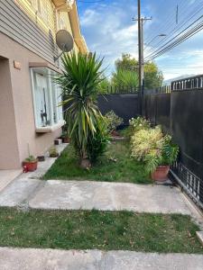 um quintal com vasos de plantas em frente a uma cerca em Cómoda Casa en mejor sector de la ciudad em Los Andes