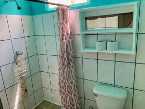 a bathroom with a toilet and a shower curtain at Woodstock Hostel in Sámara