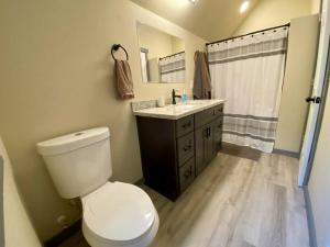 a bathroom with a toilet and a sink and a shower at NEW Modern Cabin! 5mi to Mt Rainier National Park! Hot Tub & Wifi in Ashford