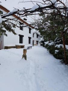 Ảnh trong thư viện ảnh của Casas rurales Camaretas ở Yeste