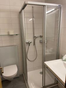 ein Bad mit einer Dusche, einem WC und einem Waschbecken in der Unterkunft Hotel Restaurant Rothorn in Visperterminen