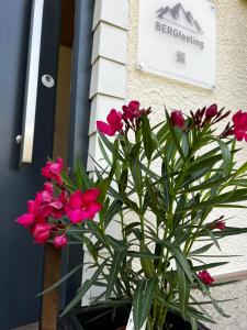 a potted plant with pink flowers in front of a door at Ferienwohnungen BERGfeeling in Bad Mitterndorf
