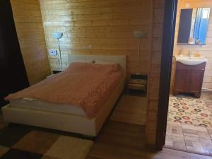 a bedroom with a bed and a bathroom with a sink at La căbănute in Sibiu