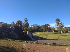 une personne assise sur un rocher dans un parc dans l'établissement Tenerife Family Home, à Santa Úrsula