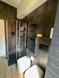a bathroom with a toilet and a glass shower at Alfea Suite in Bologna