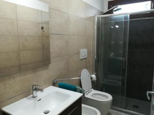 uma casa de banho com um WC, um chuveiro e um lavatório. em Aero Apartment em Elmas