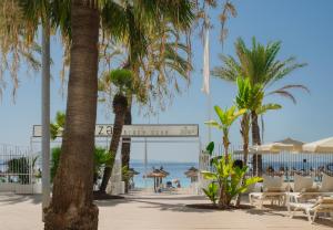 a beach with palm trees and chairs and the ocean at Sol House The Studio - Calviá Beach - Adults Only in Magaluf
