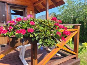 Vonkajšia záhrada v ubytovaní Laguna & SAUNA !!!