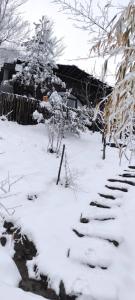 Dagevim Sakarya during the winter