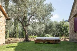 Zahrada ubytování Agriturismo Podere Valdo