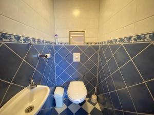 a bathroom with a toilet and a sink at Callantsoger Staete A305 in Callantsoog
