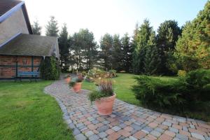 a garden with three potted plants on a brick path at Ruegen_Fewo 155 in Veikvitz