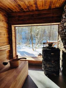 Habitación con ventana grande en una cabaña de madera en Tarninowe Wzgórze en Kunkowa