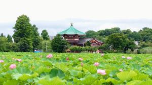 Zahrada ubytování Hotel Sardonyx Ueno