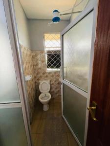 uma pequena casa de banho com um WC e uma janela em Loaded homes em Kikuyu
