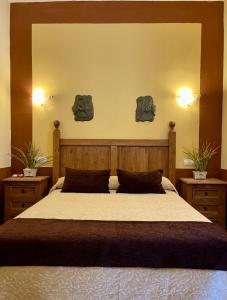 1 dormitorio con 1 cama grande y 2 plantas en la pared en Casa Rural Romana, en Don Álvaro