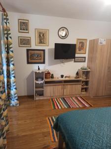 a living room with a flat screen tv on the wall at Agropensiunea Florina-Maria in Braniştea +22 photos