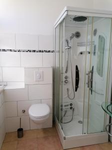a bathroom with a toilet and a glass shower at Ferienwohnung Civrilli 3 in Dippelsdorf