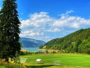 a green field with two soccer goals in it at Hotel Fersped in Mavrovo