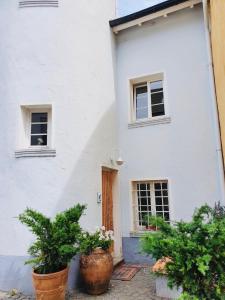 una casa bianca con due grandi piante in vaso davanti di Ferienwohnung Villa Wolke a Sankt Wendel