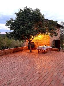 een tafel en een boom op een bakstenen patio bij Charming 4-Bed Cottage 15 minutes from Florence in Impruneta