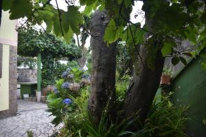 Zahrada ubytování Casa con piscina al lado del mar en Viladesuso