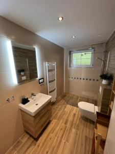 a bathroom with a sink and a toilet at Apartmán Nad Úpou in Pec pod Sněžkou