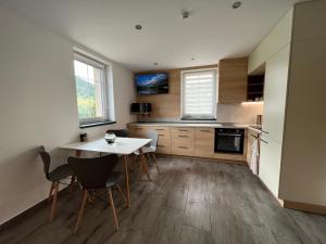 Kuchyň nebo kuchyňský kout v ubytování Apartmán Nad Úpou