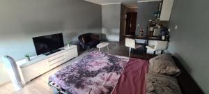 Televízia a/alebo spoločenská miestnosť v ubytovaní Luxe -Style