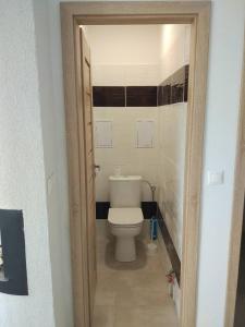een badkamer met een wit toilet in een kamer bij Moderný byt s krbom a klimatizáciou in Prešov