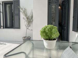 Kép Katie's Lemon Tree House szállásáról Vóloszban a galériában