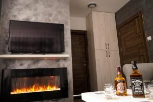 a living room with a fireplace with a tv above it at Vila Rajski kutak Kopaonik in Kopaonik