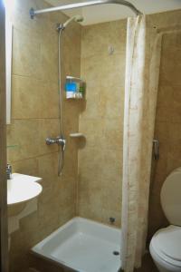 ein Bad mit einer Dusche, einem WC und einem Waschbecken in der Unterkunft Nuevo Horizonte Hotel in Mar del Plata