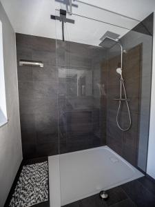 a bathroom with a shower with a glass door at Burtscherhof in Braz in Ausserbraz