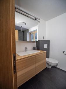 a bathroom with a sink and a toilet at Burtscherhof in Braz in Ausserbraz