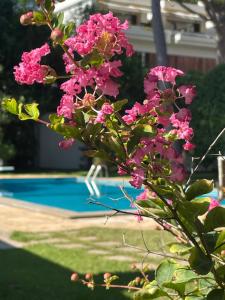 Der Swimmingpool an oder in der Nähe von BUBA BnB SUPERIOR