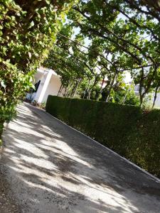 House 28 - Image 15