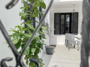 A balcony or terrace at Katie's Lemon Tree House