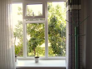 a window with two potted plants on a window sill at Arthouse in Karakol