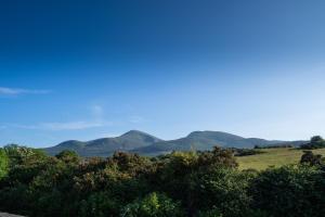 uma vista para as montanhas ao longe com árvores em Burrendale Hotel Country Club & Spa em Newcastle