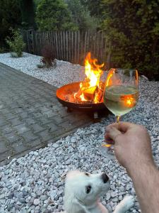 a person holding a glass of wine next to a white dog at Apartmány Kamermann in Hroznětín
