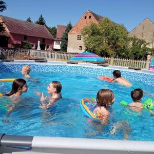 un grupo de niños jugando en una piscina en "Koziołek Suchodołek", en Brody