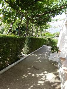 a bench sitting on a sidewalk next to a hedge at House 28 in Orikum