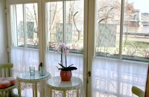 una mesa con una flor en ella en una habitación con ventanas en MARVELOSA APARTMENT - Central by the Chain Bridge en Budapest