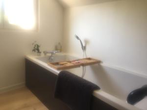 a bathroom with a bath tub with a sink at Vichy patrimoine mondial de l'Unesco in Bellerive-sur-Allier